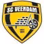 BV Veendam