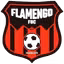 Flamengo FBC (W)