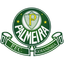Palmeira FC RN Youth