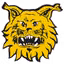Ilves U20