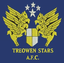 Treowen Stars