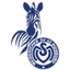 MSV Duisburg U19