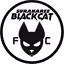 Suranaree Black Cat
