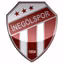 Inegolspor U19