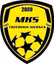 MKS Trzebinia