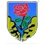ASD Seravezza Calcio