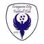 Craigavon City (W)