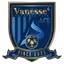 Sejong Vanesse FC