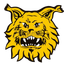 FC Ilves U21