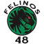 Felinos 48 AC