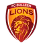 FC Bulleen Lions
