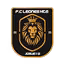 Leones HT6