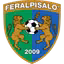 FeralpiSalo U19