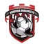 Academia Dragones FC
