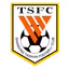 Shandong Taishan B