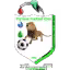 Fortune FC