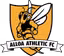 Alloa Athletic