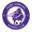 Glebe Gorillas FC