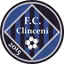 Academica Clinceni