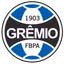 Gremio Youth
