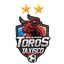 Toros De Taxisco