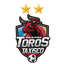 Toros De Taxisco