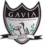 Gavia Choszczno