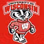 Wisconsin Badgers