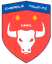 Cheadle Town Stingers (w)