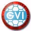 GVI