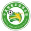 Shizuishan Hengxing Football Club U15