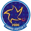 Shanghai Lucky Star FC U17