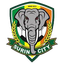 Surin City FC 