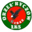 Orzel Ryczow