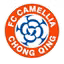 Chongqing Dikai