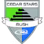 Cedar star