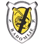 NK Radomlje U19