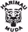 Harimau Muda A