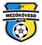 Mezokovesd Zsory FC