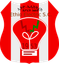 Ethio Electric FC
