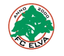 FC Elva (nữ)