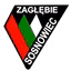Zaglebie Sosnowiec Youth