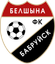 Belshina (W)