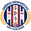 Sao carlense