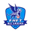 Yunnan Flying Tigers(2012-2019)