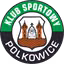 Gornik Polkowice