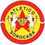 Linense(BRA)