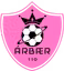 FC Arbaer