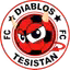 Diablos Tesistan FC