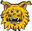 FC Ilves II U20